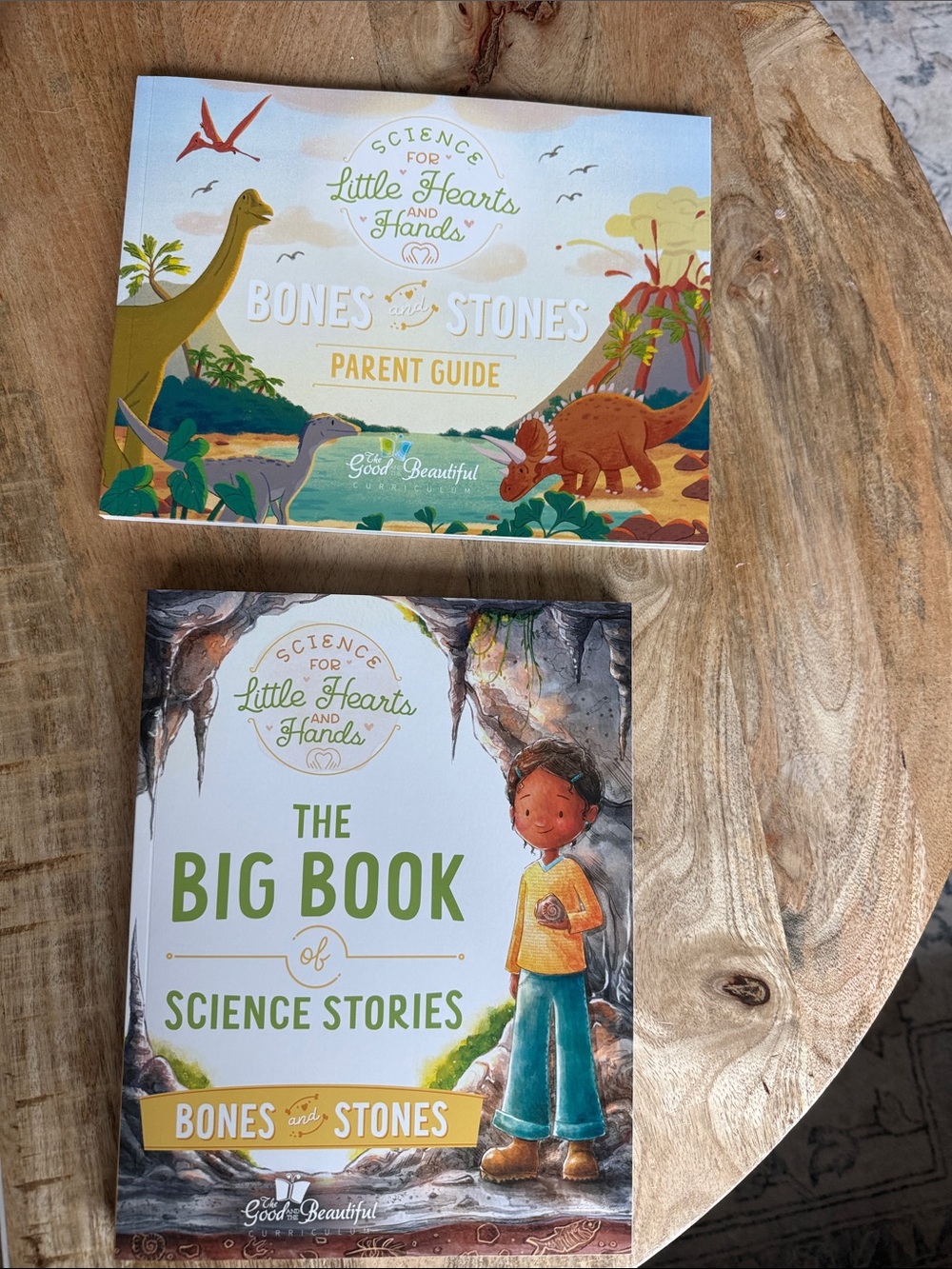 The Good and The Beautiful Science Curriculum Bones and Stones